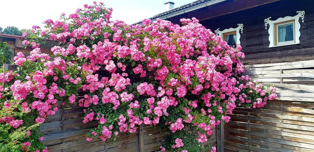 Ferienwohnung Rosenheim Wagenham المظهر الخارجي الصورة